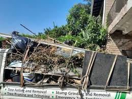 Shed Removal in Palmdale, CA